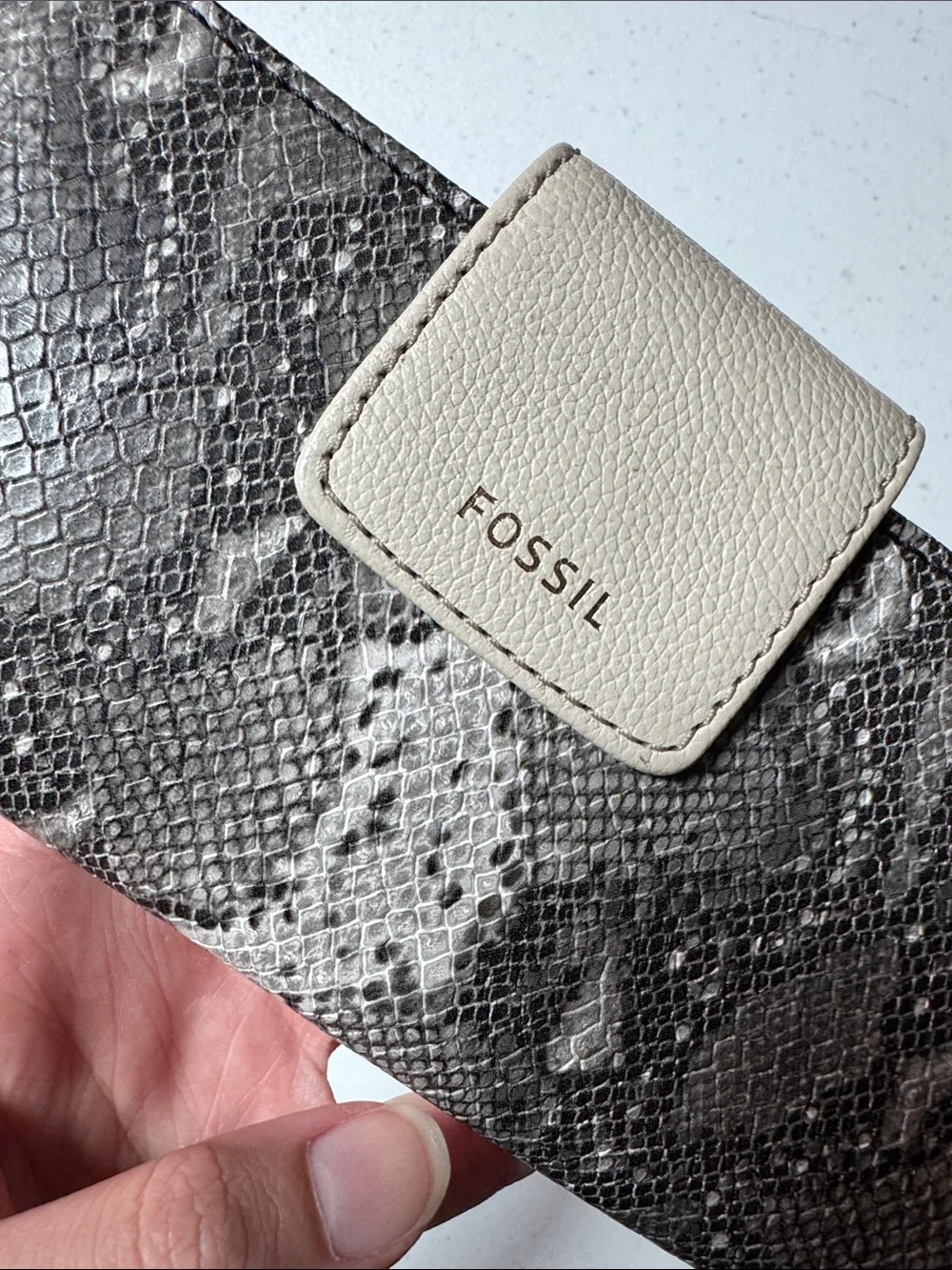 Fossil great slight